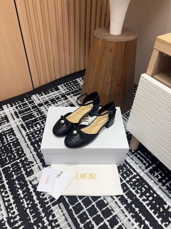 Dior Shoe 